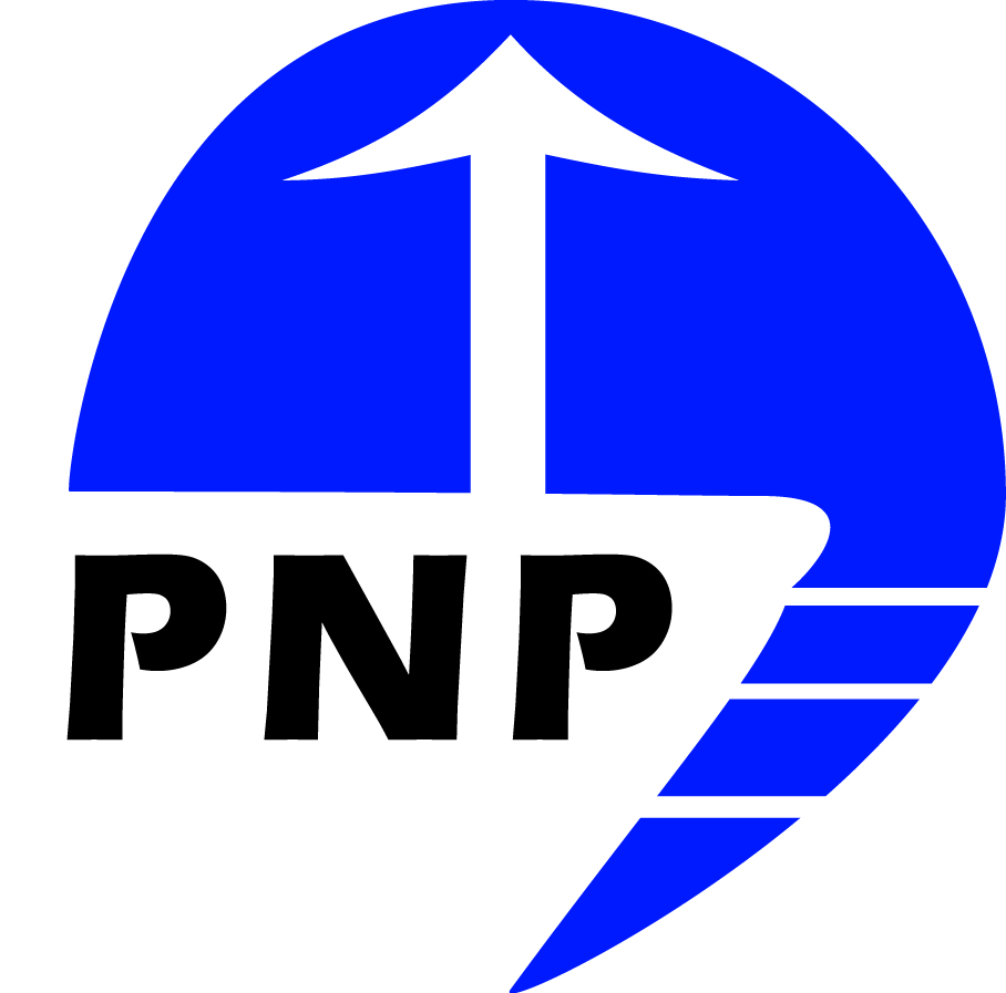 Business Card Design by Shouinard Digital Media for PnP Solutions Pty Ltd | Design #557510