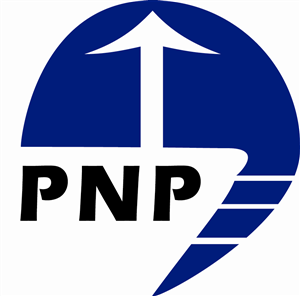 Visitenkarten-Design von Shouinard Digital Media für PnP Solutions Pty Ltd | Design: #557510