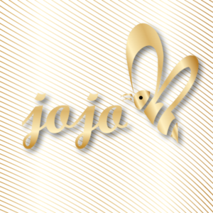 Logo Design by anika6