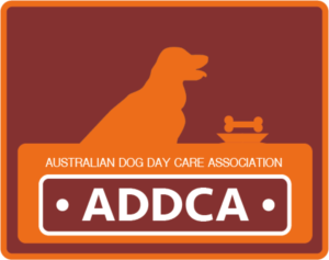 Logo Design by Nathan Dim 2023