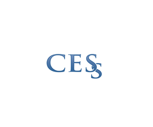 Logo Design by Lee's Designs for Choose Electronic Security Solutions | Design: #2510976
