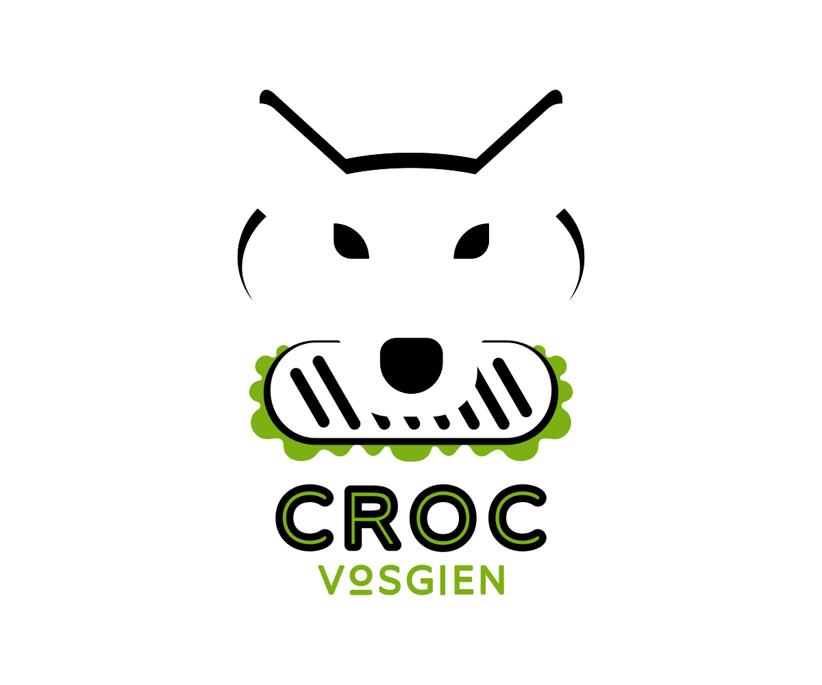 Logo Design by El Ojo creativo for this project | Design #14416249