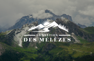 Logo Design by GLDesigns for 92949361 qc inc | Design: #14179010