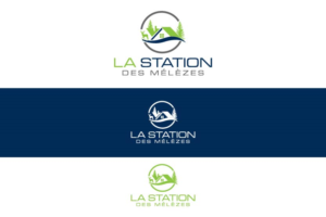 Logo Design by abstraxt for 92949361 qc inc | Design: #14317093