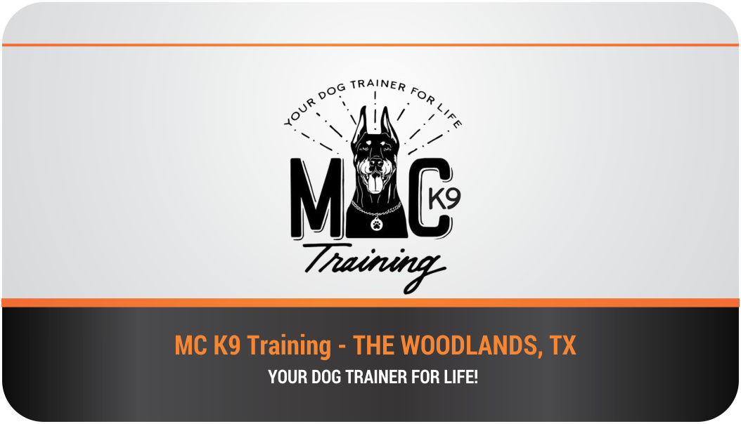 Business Card Design by Himanshi10 for MC K9 Training | Design #16329067