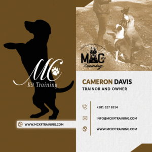Business Card Design by Likhang Mawieshams