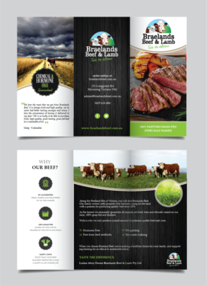 Flyer Design by alex989 for Braelands Beef & lamb Pty Ltd | Design: #14192008