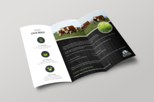 Flyer Design by alex989 for Braelands Beef & lamb Pty Ltd | Design: #14192065