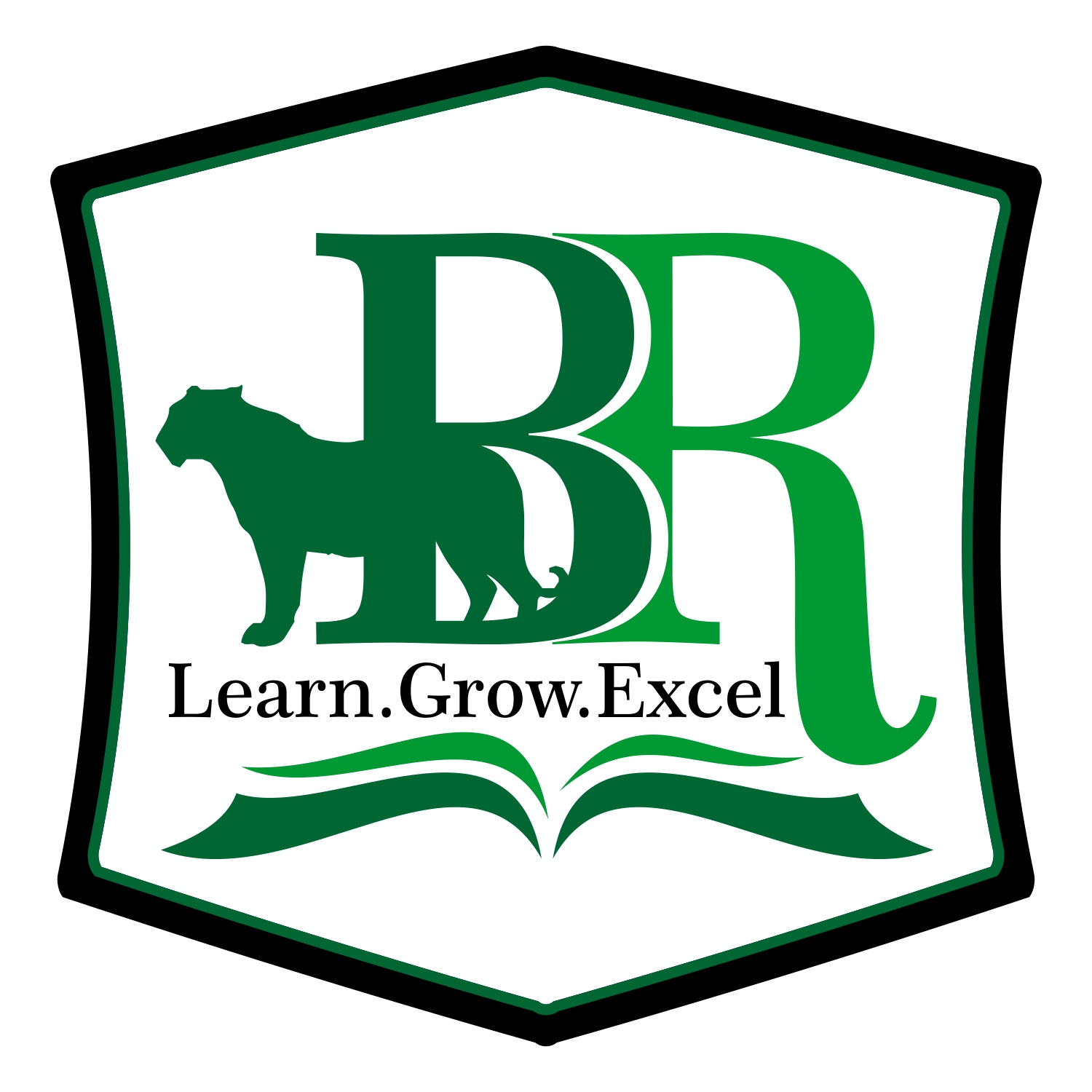 Logo Design by tunk99 for Blue Ridge ISD | Design #14186816