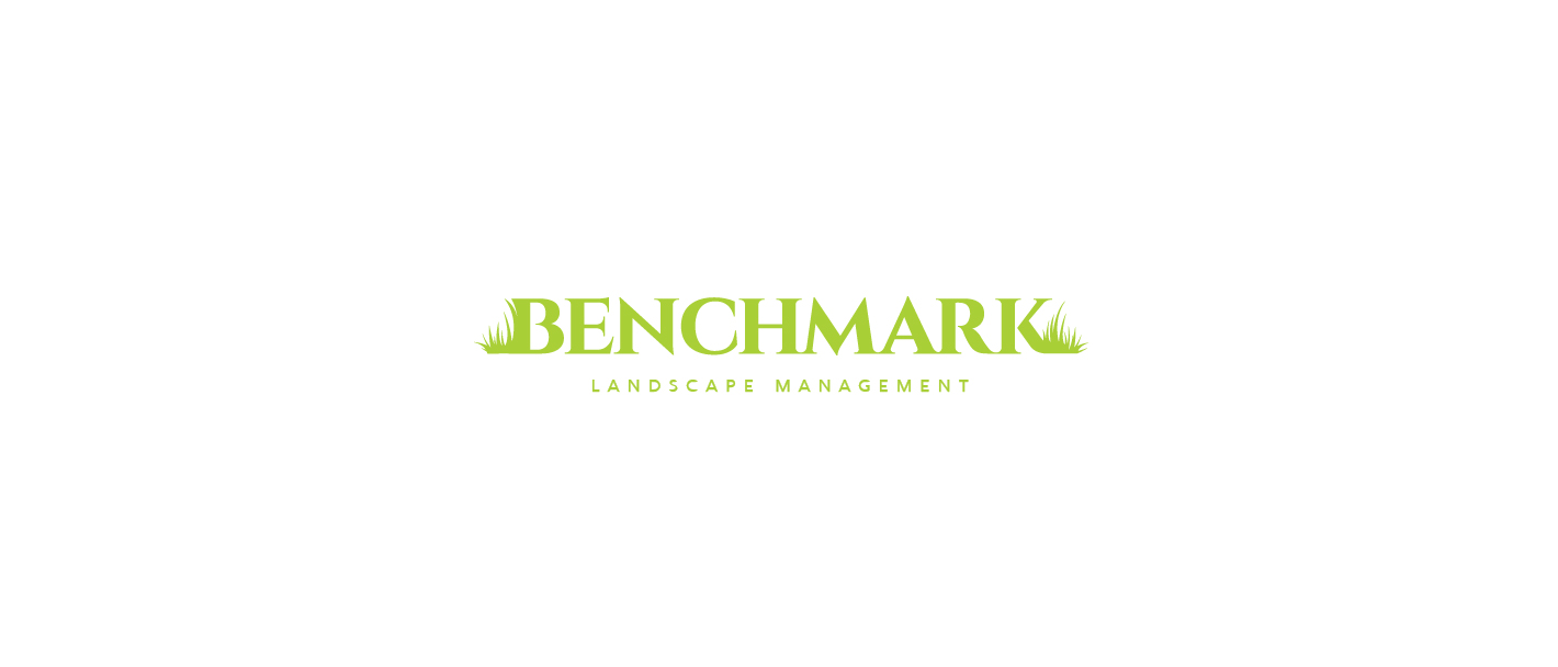 Logo Design by slaven.kopitovic for Benchmark | Design #14273961