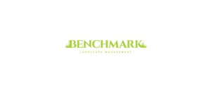 Diseño de Logo por slaven.kopitovic para Benchmark | Diseño: #14273961