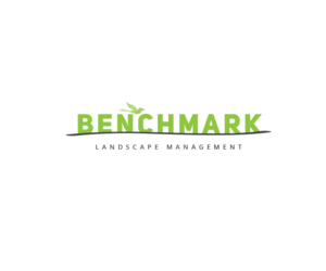 Diseño de Logo por Engenevo para Benchmark | Diseño: #14215597