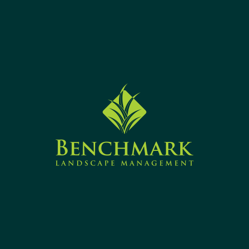 Logo Design by DoMadic for Benchmark | Design #14321577