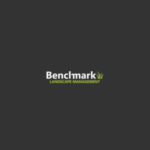 Diseño de Logo por 4rgraphix para Benchmark | Diseño: #14304974