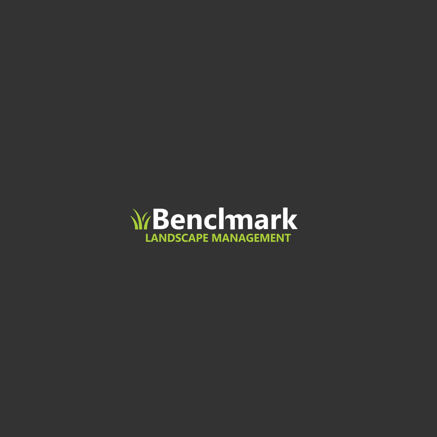 Diseño de Logo por 4rgraphix para Benchmark | Diseño #14304975