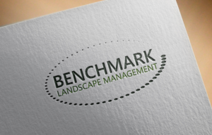 Diseño de Logo por Top king  designer para Benchmark | Diseño: #14214257