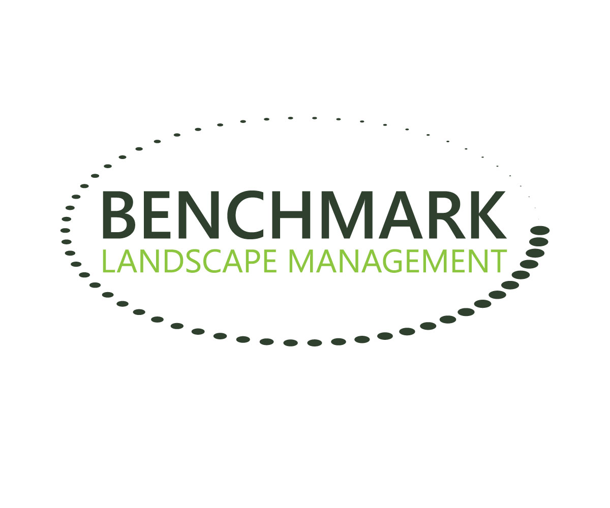 Logo Design by Top king  designer for Benchmark | Design #14214258