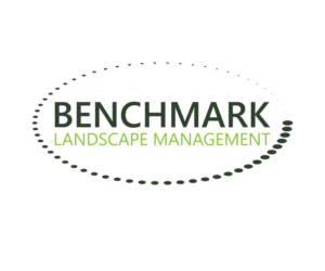 Diseño de Logo por Top king  designer para Benchmark | Diseño: #14214258
