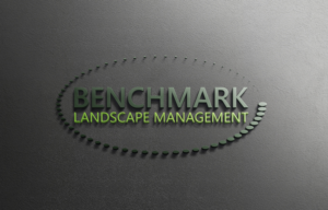 Diseño de Logo por Top king  designer para Benchmark | Diseño: #14214259