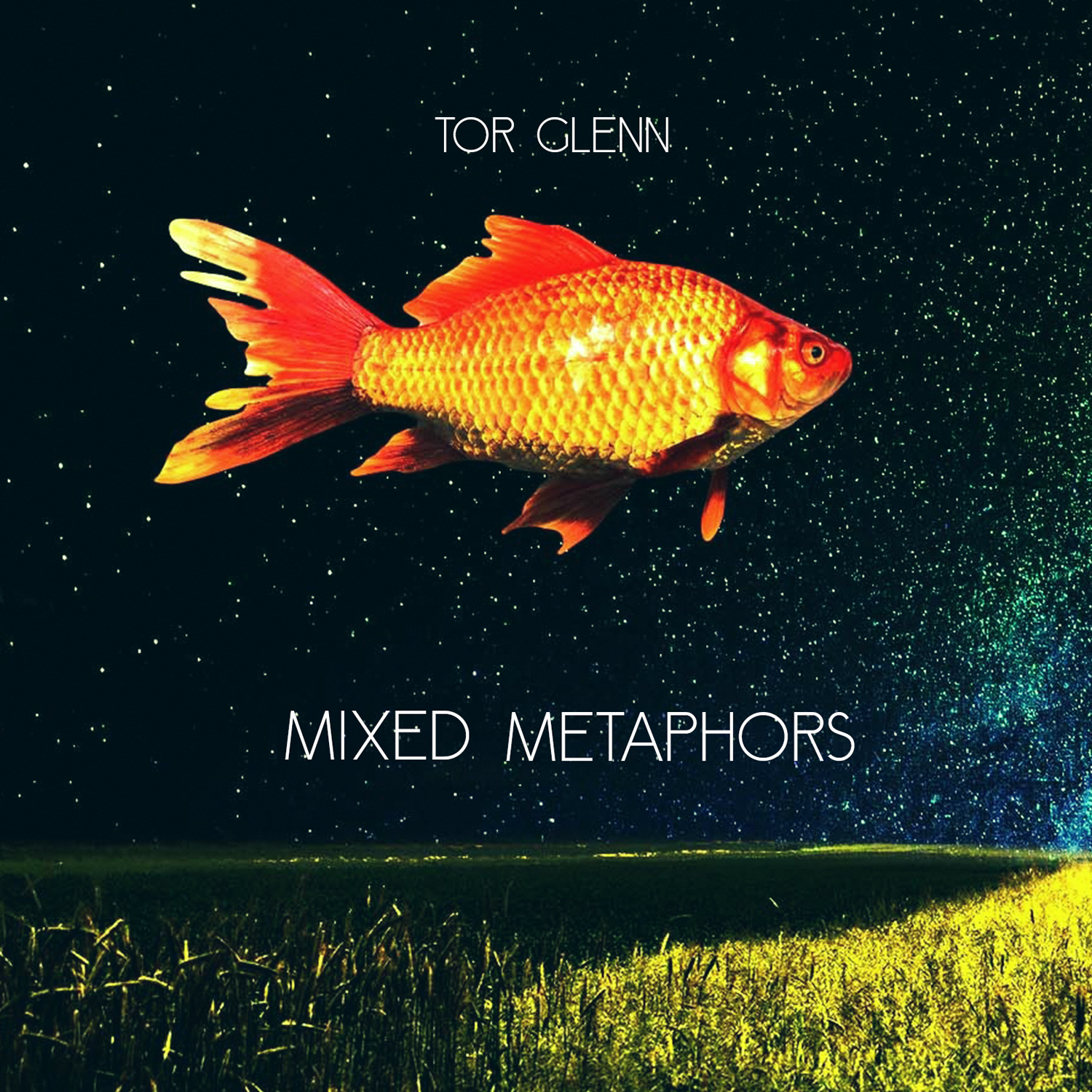 CD Cover Design by Estratosphera for torglennmusic | Design #14196757