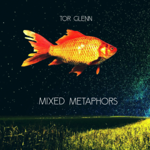 CD-Cover-Design von Estratosphera für torglennmusic | Design #14196757