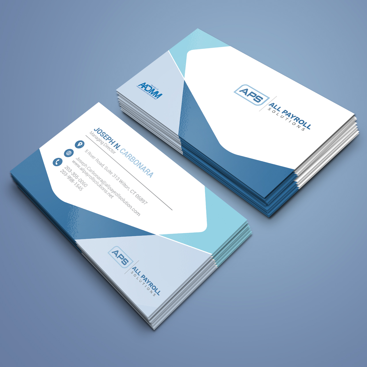 Business Card Design by Logo Design for All Payroll Solutions LLC | Design #14280281