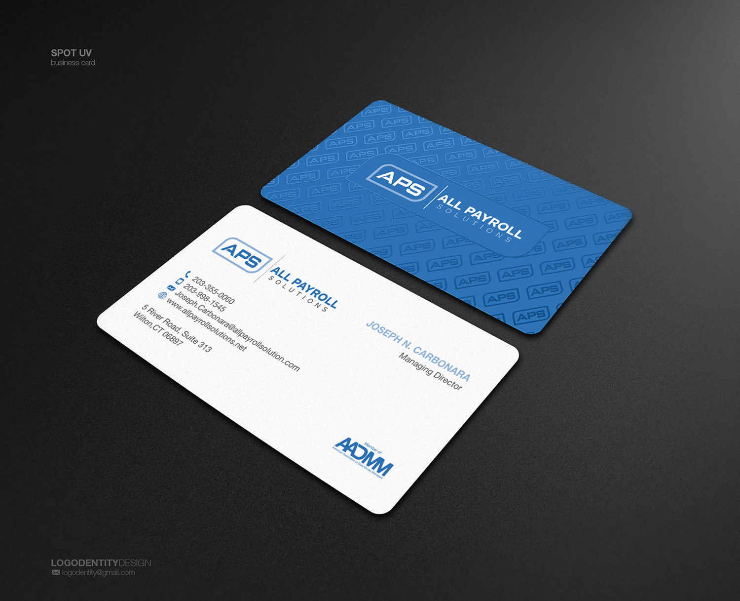 Business Card Design by logodentity for All Payroll Solutions LLC | Design #14260702
