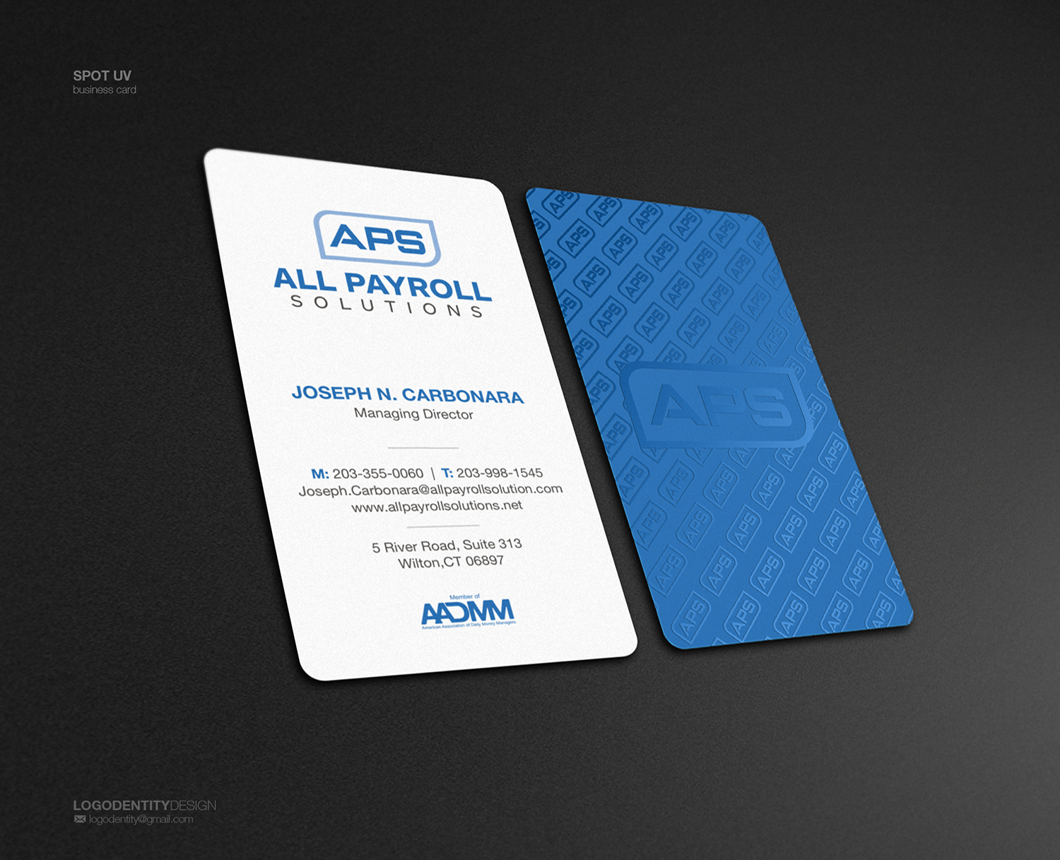 Business Card Design by logodentity for All Payroll Solutions LLC | Design #14260733