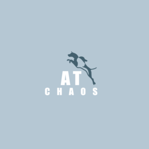 Logo Design by amerqad