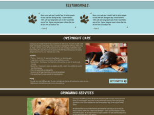Web Design par Adam Tyler Noe pour ce projet | Design : #14285403