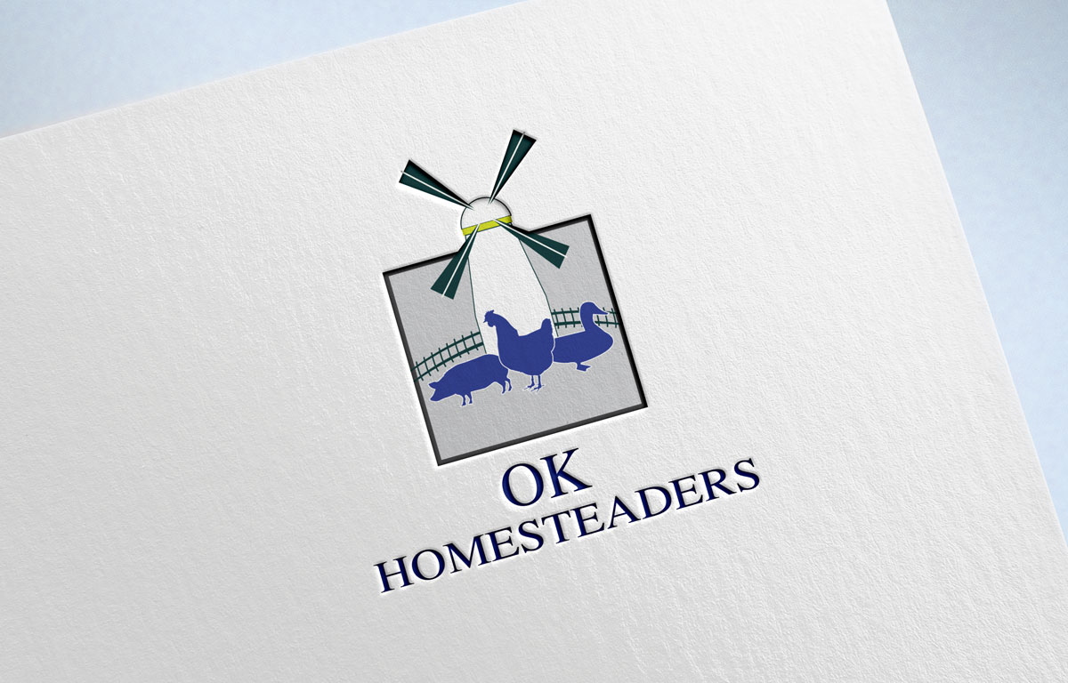 Logo Design by Wonderful design for Main Street Enterprises, Inc. | Design #14232936