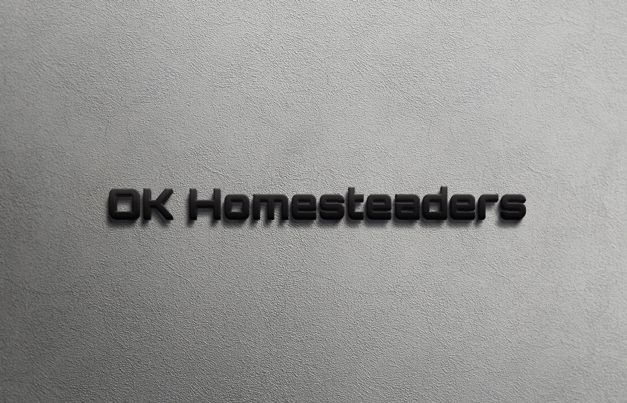 Logo Design by logout babu for Main Street Enterprises, Inc. | Design #14236709