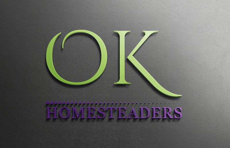 Logo Design by Top king  designer for Main Street Enterprises, Inc. | Design #14242631