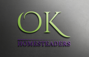 Logo Design by Top king  designer for Main Street Enterprises, Inc. | Design: #14242631