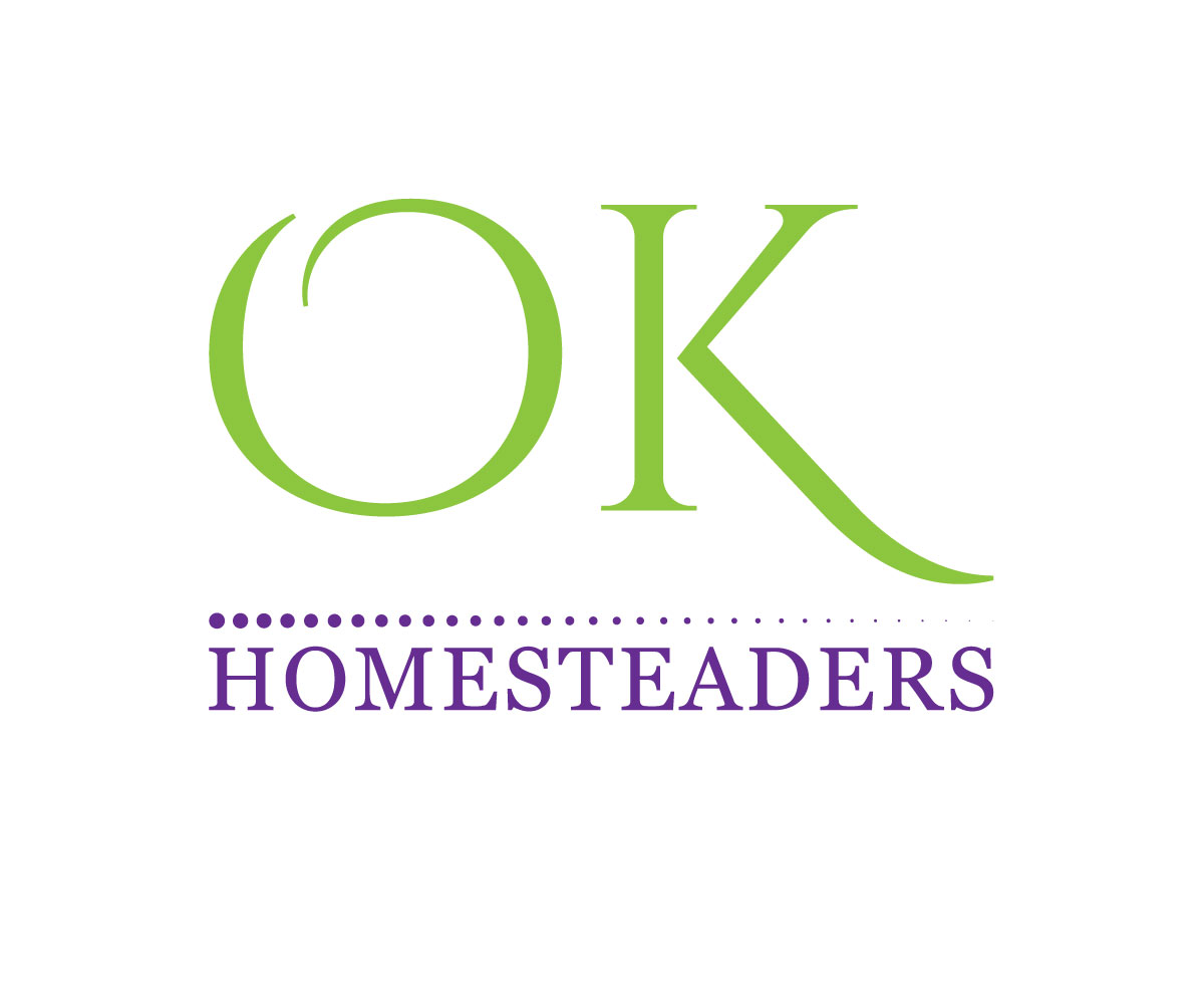 Logo Design by Top king  designer for Main Street Enterprises, Inc. | Design #14242632