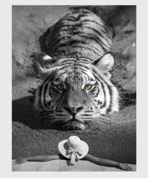 Photoshop Design by LeonFX