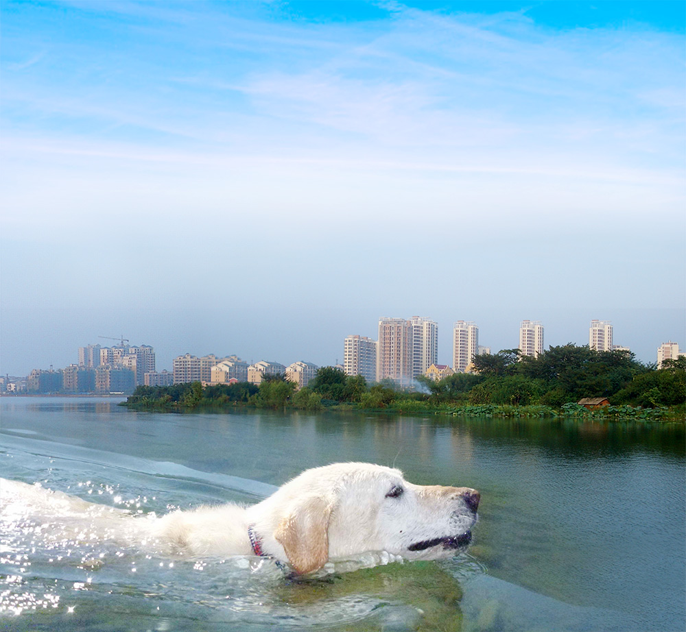Photoshop Design by Hari Krishna 2 for DesignCrowd (Community Contests) | Design #14244435