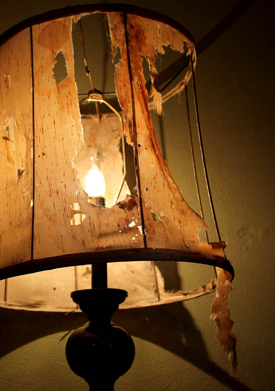 Photography by birdbluff for DesignCrowd (Community Contests) | Design #14302485