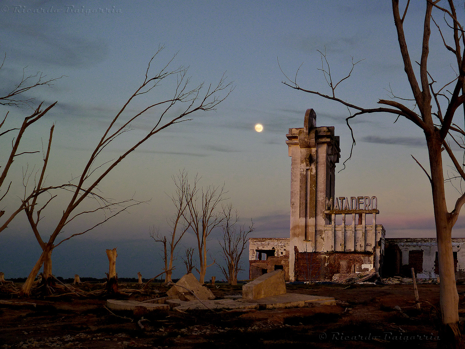 Photography by ricardobbaigorria for DesignCrowd (Community Contests) | Design #14367691