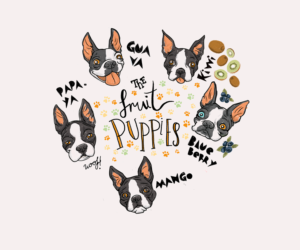 Fun Design for Family of Five Boston Terriers Dogs Named after Fruit  