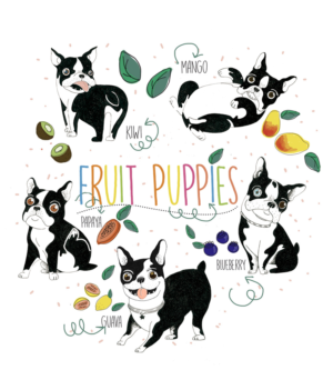 Fun Design for Family of Five Boston Terriers Dogs Named after Fruit  