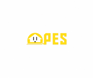 Logo-Design von Duali Designs für dieses Projekt | Design: #14207928