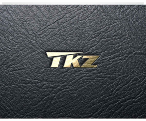 Logo-Design von JasonE für Travel Kingz | Design: #14213650