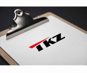 Logo-Design von JasonE für Travel Kingz | Design: #14213651