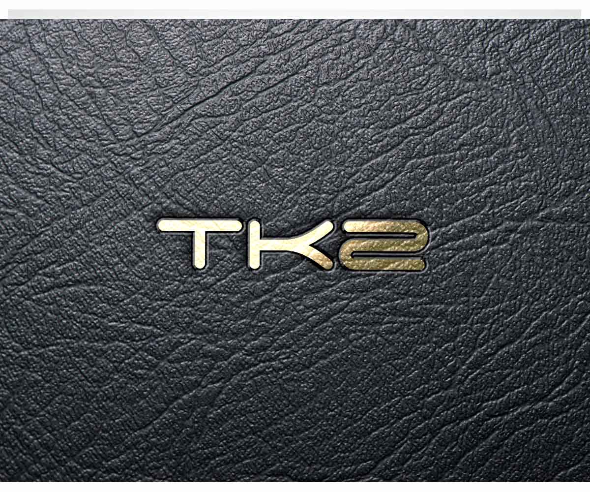 Logo Design by JasonE for Travel Kingz | Design #14213675