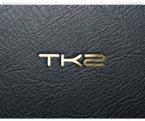 Logo-Design von JasonE für Travel Kingz | Design: #14213675