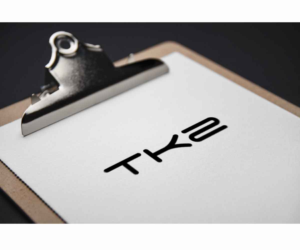 Logo-Design von JasonE für Travel Kingz | Design: #14213676