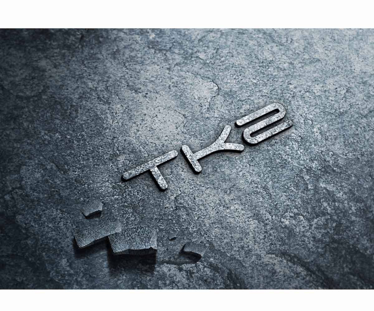 Logo Design by JasonE for Travel Kingz | Design #14213677