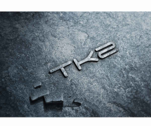 Logo-Design von JasonE für Travel Kingz | Design: #14213677