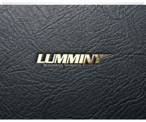 Logo Design by JasonE for Lumminy | Design: #14213349